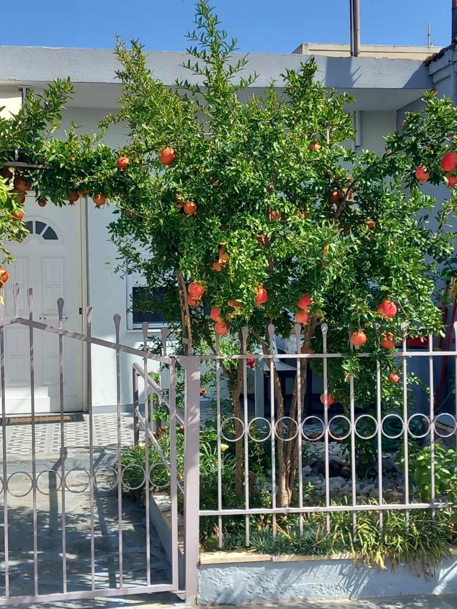 Anastasia'S Home Néa Péramos Exterior foto
