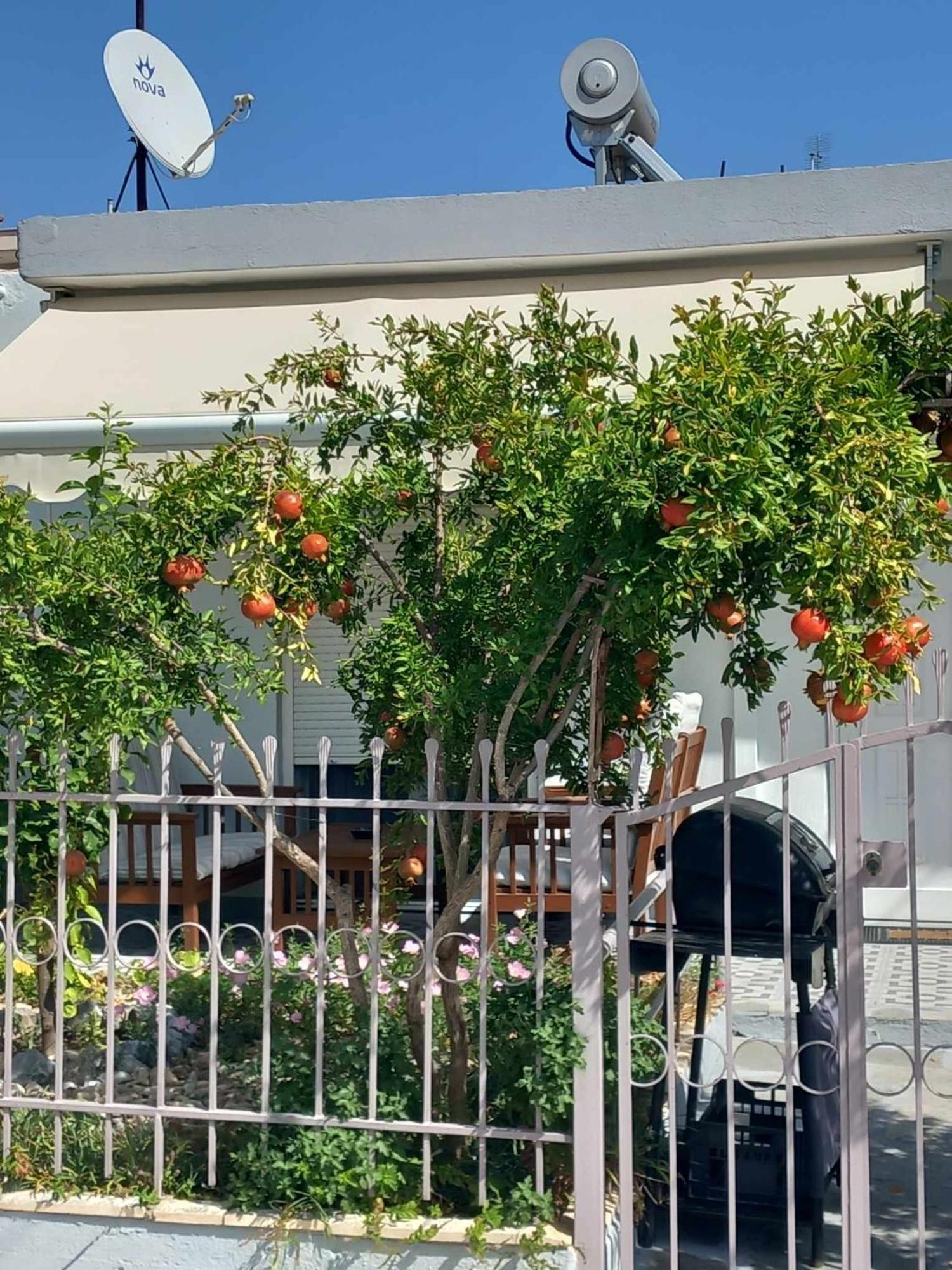 Anastasia'S Home Néa Péramos Exterior foto